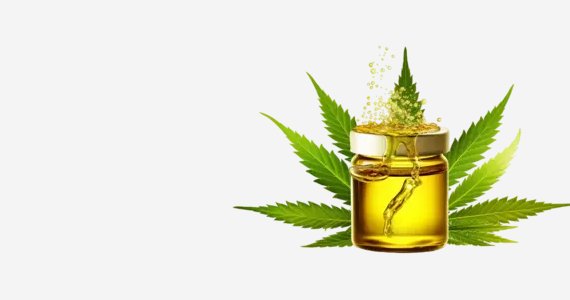 Dokter CBD